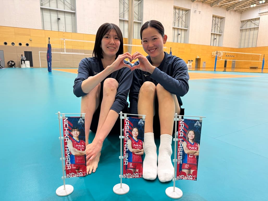 3月28日(土)・3月29日(日) vs 東レアローズ滋賀 ｜ 試合情報特設ページ